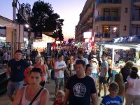 IMG_0508.jpg