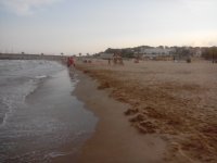 IMG_20160727_202650.jpg