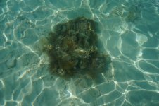 DSC00314.JPG