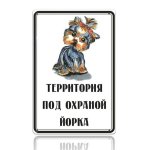 1073100_2.jpg