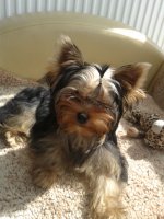 20160519_101539.jpg