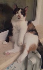 2016-09-07 23.12.56.jpg