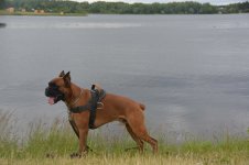DSC_1202.JPG
