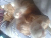 2016-09-25 17.04.42.jpg