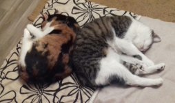 2016-09-28 14.33.56.jpg