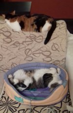 2016-09-28 14.33.22.jpg