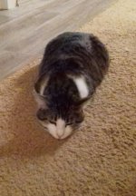 2016-09-29 10.08.54.jpg