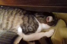 2016-09-29 10.08.17.jpg