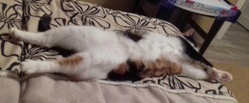 2016-09-29 10.07.50.jpg