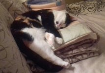 2016-09-29 10.07.22.jpg