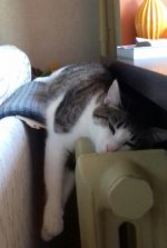 2016-09-29 10.06.48.jpg