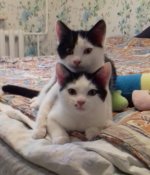 2016-10-09 14.06.42.jpg