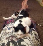 2016-10-11 21.53.54.jpg