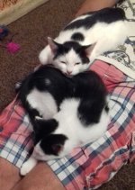 2016-10-11 21.53.33.jpg