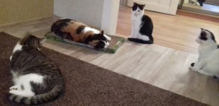 2016-10-14 17.39.08.jpg