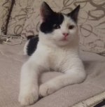 2016-10-20 19.25.00.jpg