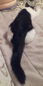 2016-10-20 19.24.33.jpg