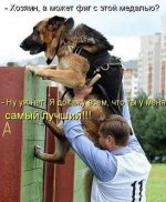 медаль.jpg