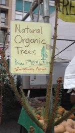 IMG_3619.JPG