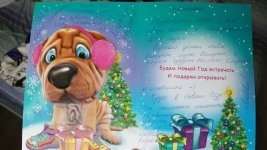 rps20161124_153351.jpg