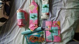 rps20161124_153314.jpg