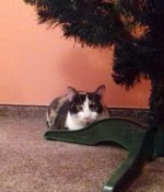 2016-12-18 19.22.18.jpg
