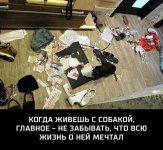 nq9zUJ42TLs.jpg