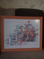 IMG_20170410_090731.jpg