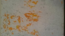 20170411_063613.jpg