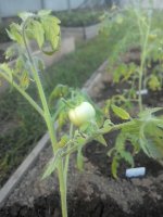 20170518195935_новый размер.jpg