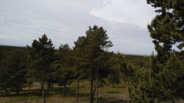 IMG_20170604_115726.jpg