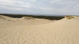 IMG_20170604_124555.jpg