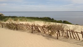 IMG_20170604_125837.jpg