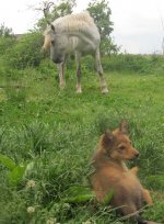 Izobrazhen_8365593_26491998.jpg