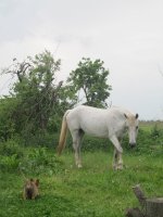 Izobrazhen_4230023_26491994.jpg