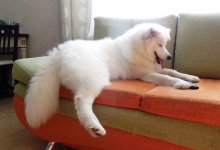 DSCN15741.jpg