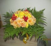 IMG2017083_3702809_27383654.jpg