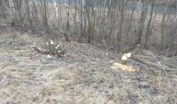 IMG_20171231_134142.jpg