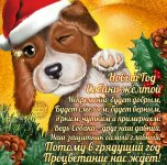 IMG_3031.JPG