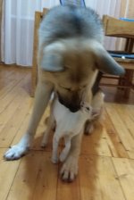 IMG_20180125_203311.jpg