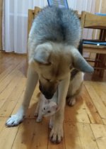 IMG_20180125_203313.jpg