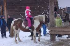 IMG_1667_новый размер.JPG