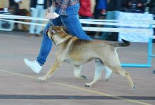 DSC_00751.jpg