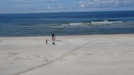 DSC03436.jpg