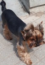 20180611_110839.jpg