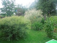 DSCN1774 (1520 x 1140) (760 x 570).jpg