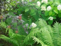 DSCN1777 (1520 x 1140) (760 x 570).jpg