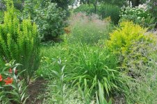 DSCN1791 (1144 x 762) (858 x 571).jpg