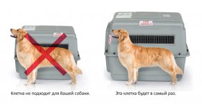 размер.jpg