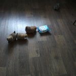 rps20190318_172830.jpg